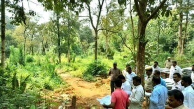 मिलीभगतः कैमूर अभयारण्य की जमीन की रजिस्ट्रारी और दाखिल-खारिज तक हो गई! 5 Collusion The land in the Kaimur Wildlife Sanctuary has even been registered and transferred