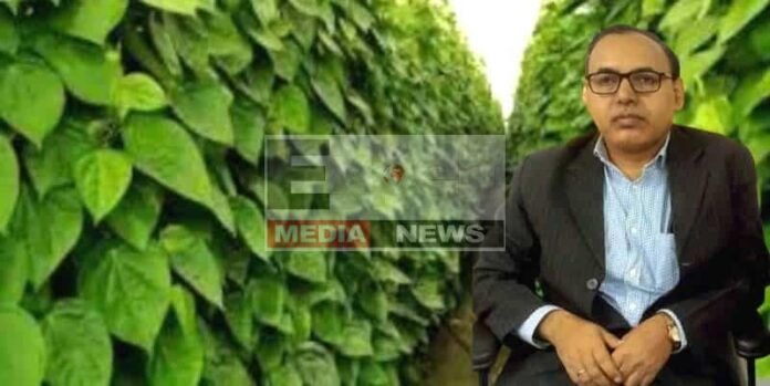 मगध की मिट्टी से निकला हरा सोना, वैज्ञानिक शोध में मगही पान सर्वश्रेष्ठ घोषित मगध की मिट्टी से निकला हरा सोना, वैज्ञानिक शोध में मगही पान सर्वश्रेष्ठ घोषित