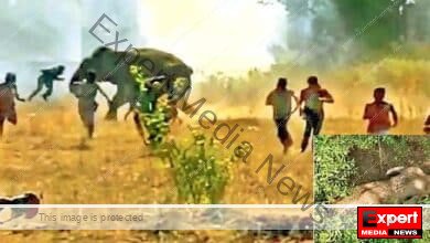 The killer elephant responsible for the deaths of twenty people is surrounded on the Odisha Jharkhand border efforts to tranquilize it are intensifying