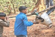 पत्थरपनिया जंगल विमान हादसा, एयर एंबुलेंस इंजन गायब