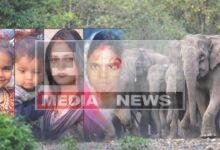 हाथियों की झुंड ने चुरचू में 2 मासूम समेत 7 लोगों को कुचलकर ली जान 13 hazaribagh churchu hathi hamla 7 log mare