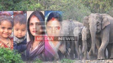 hazaribagh churchu hathi hamla 7 log mare