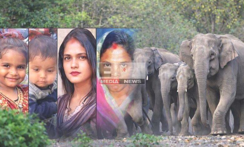 hazaribagh churchu hathi hamla 7 log mare