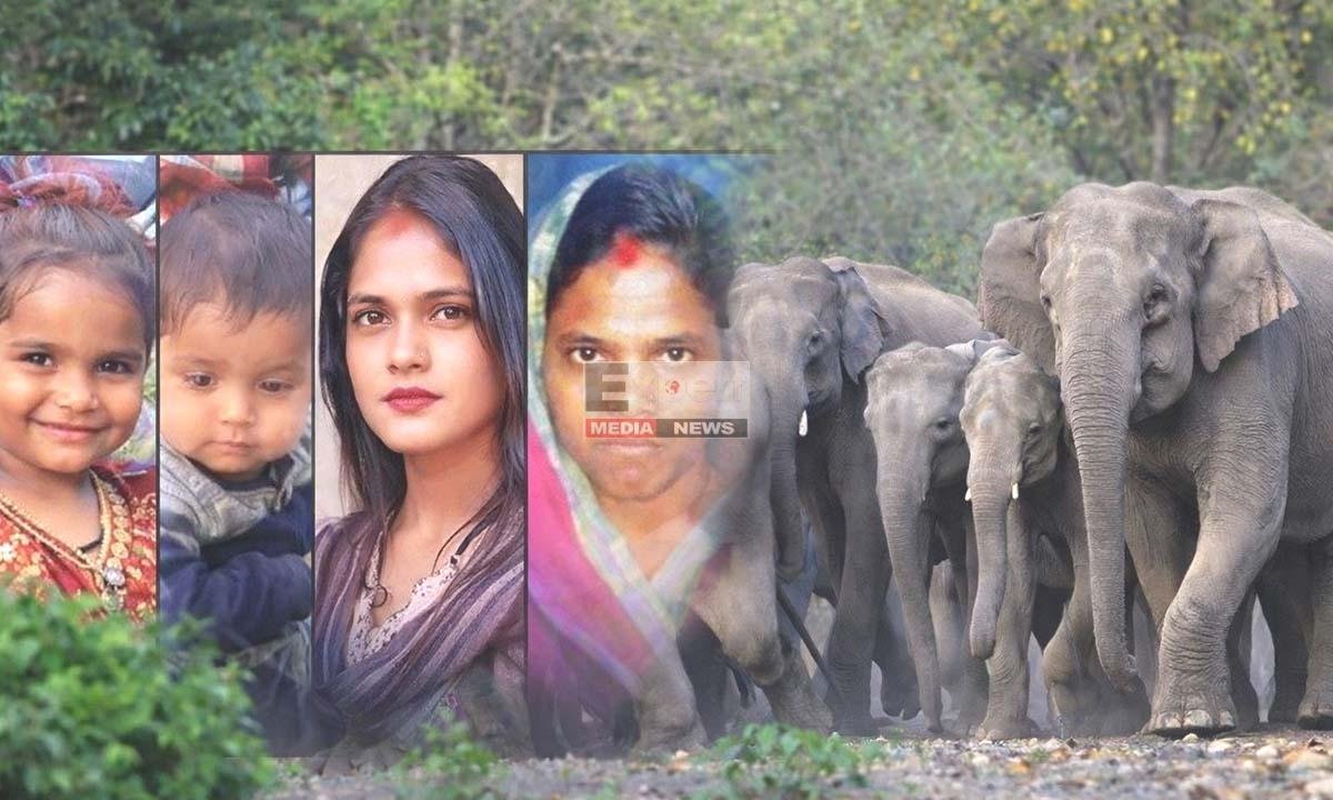 hazaribagh-churchu-hathi-hamla-7-log-mare