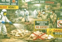 Bird Flu Alert in Patna Before Holi