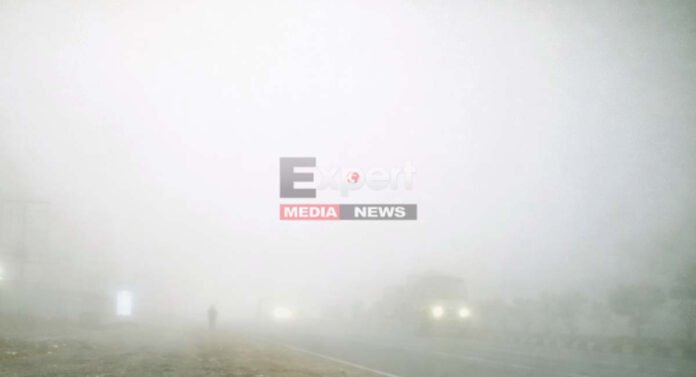 मार्च में सर्दियों जैसा नजारा! बारिश-आंधी के बाद झारखंड में घना कुहासा, हाईवे पर थमी रफ्तार Jharkhand weather breaking news